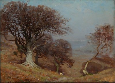 Hêtres sur les Quantocks, 1885-1924 - Benjamin Haughton