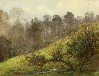 Oies et oisons - Benjamin Haughton