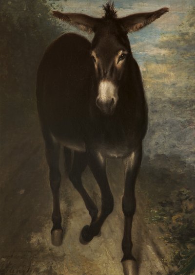 Un âne sicilien - Benjamin Haydon