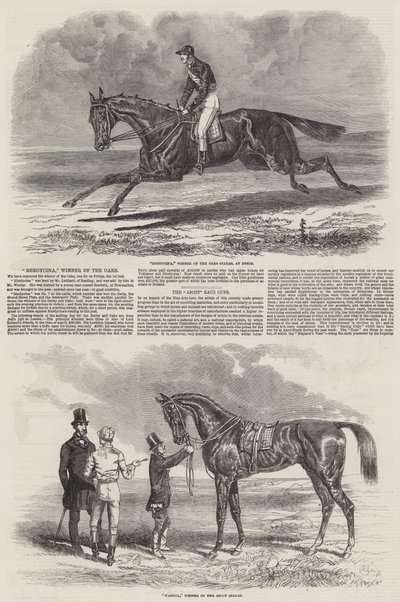 Chevaux de Course Gagnants - Benjamin Herring