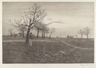 Après lueur - Benjamin Lander