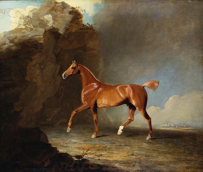 Un Cheval de Course Alezan Doré près d