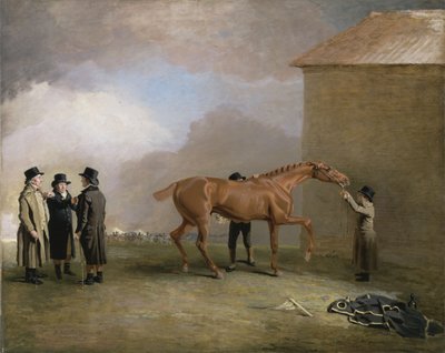 Muly Moloch, un poulain alezan frotté sur la lande de Newmarket, avec des portraits de Trotter, Hardy et Thompson à gauche - Benjamin Marshall