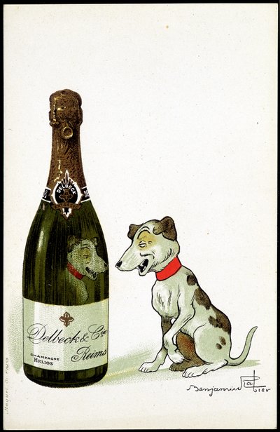 Carton pour champagne 