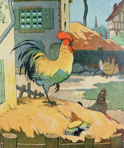 Le coq, illustration de 