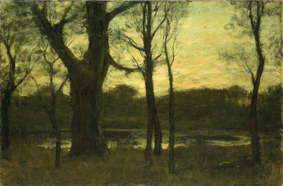 Une piscine dans la forêt - Benjamin Rutherford Fitz