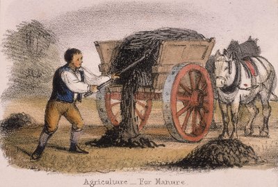 Agriculture, pour le fumier - Benjamin Waterhouse Hawkins