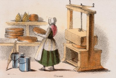 Fromage, vers 1845 - Benjamin Waterhouse Hawkins