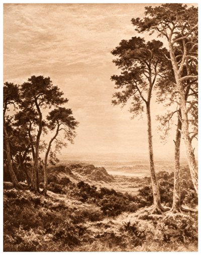 Coucher de soleil après la pluie, 1903 - Benjamin Williams Leader