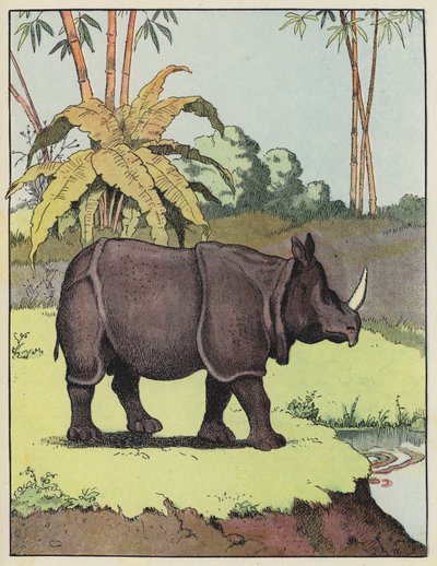 Rhinocéros indien - Benjamin Rabier