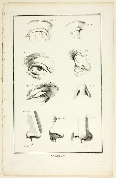 Design : Anatomie faciale de l