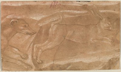 Un chien chassant un lièvre - Benozzo Gozzoli