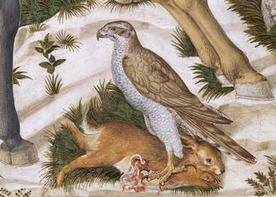 Faucon avec un lapin capturé (détail du cycle du Voyage des Mages dans la chapelle) - Benozzo di Lese di Sandro Gozzoli