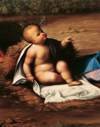 Enfant Jésus (détail) - Benvenuto Tisi da Garofalo
