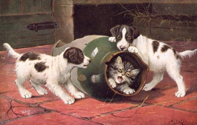 Carte postale de chat - Bernard Cobbe