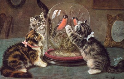 Carte postale de chat - Bernard Cobbe