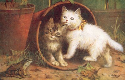 Carte postale de chat - Bernard Cobbe