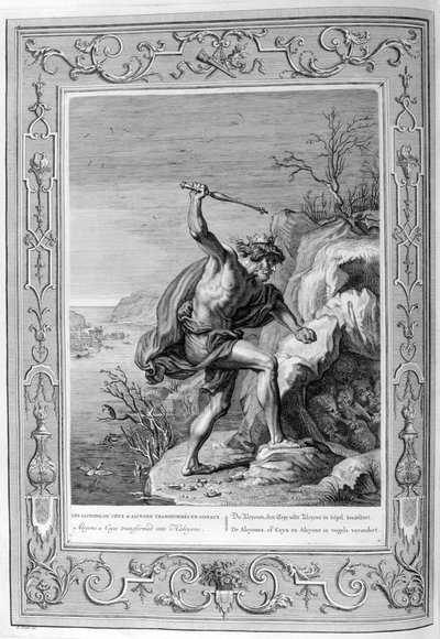 Alcyone et Ceyx transformés en oiseaux, 1733 - Bernard Picart