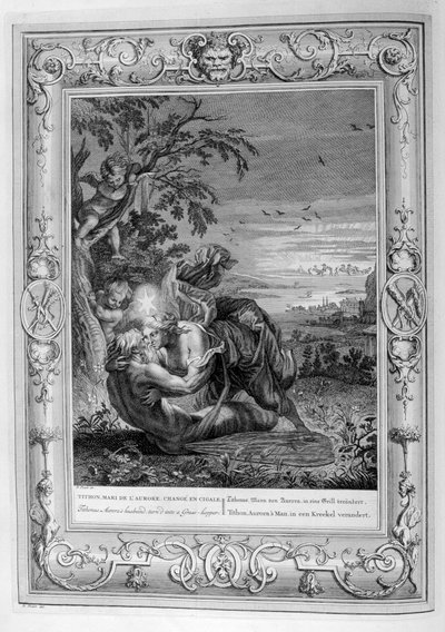 Tithonus, mari d