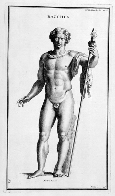 Bacchus, d