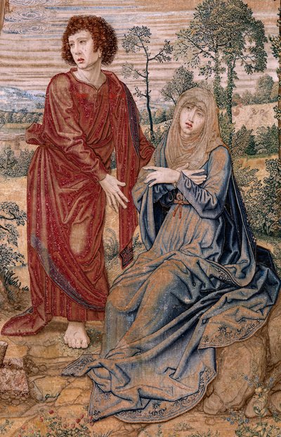 Tapisserie flamande. Série Dais de Charles V (Baldachin de Marguerite d