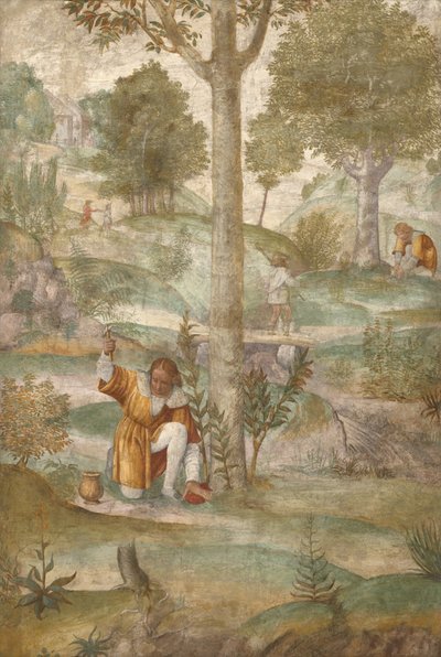  - Bernardino Luini