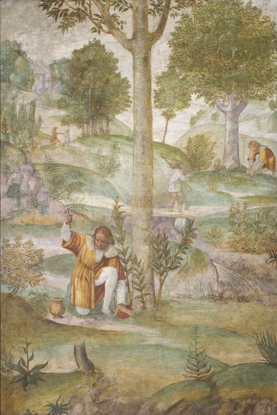 Céphale cachant les bijoux, c. 1520-1522 - Bernardino Luini