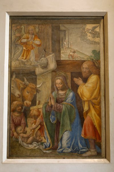 Nativité et adoration des bergers - Bernardino Luini