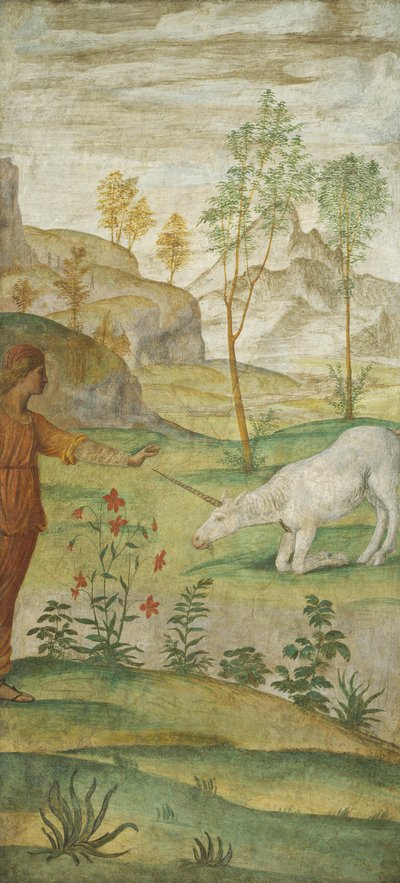 Procris et la Licorne - Bernardino Luini