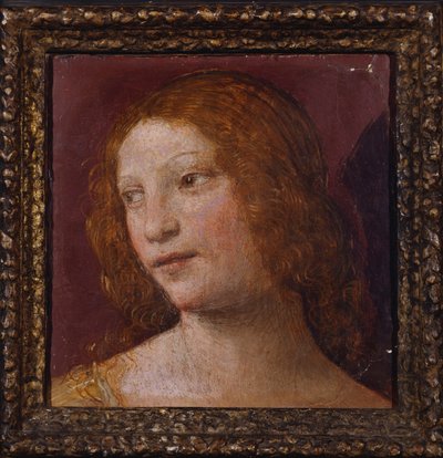La Tête d