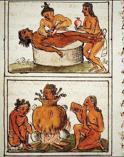 Sacrifice humain et cannibalisme des Aztèques. Manuscrit de Bernardino Sahagun - Bernardino de Sahagun