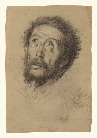 Tête de saint François (recto) ; Études de la tête de saint François, de la tête d