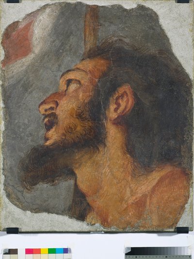 Tête de Saint Jean-Baptiste, fragment de fresque détachée, 1622 - Bernardo Strozzi