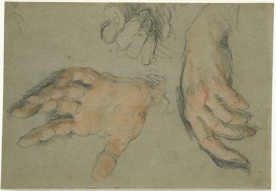 Étude de trois mains - Bernardo Strozzi