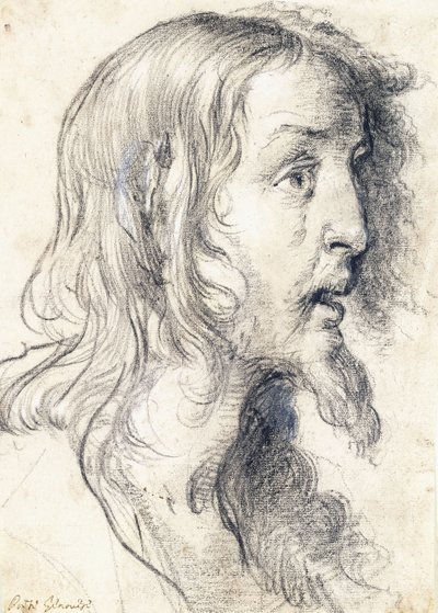 La tête du Christ de profil vers la droite - Bernardo Strozzi