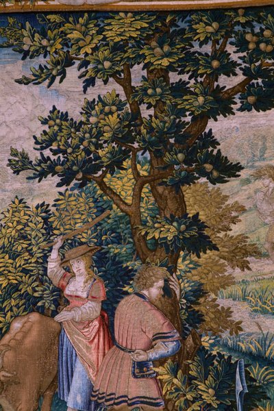 Série La Fondation de Rome : Faustulus rencontre Romulus et Rémus (détail) - Bernart van (attr. to) Orley