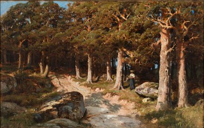 Femme dans les bois - Berndt Lindholm