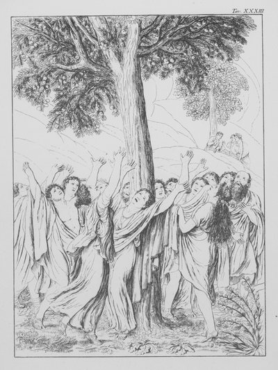 La Divine Comédie de Dante, Purgatorio (Purgatoire), Planche XXXIII - Bernhard Schuler