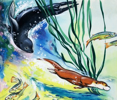 Fliptail la loutre ; - Bert Felstead