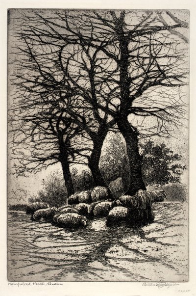 Hampstead Heath, Londres - Bertha E. Jaques