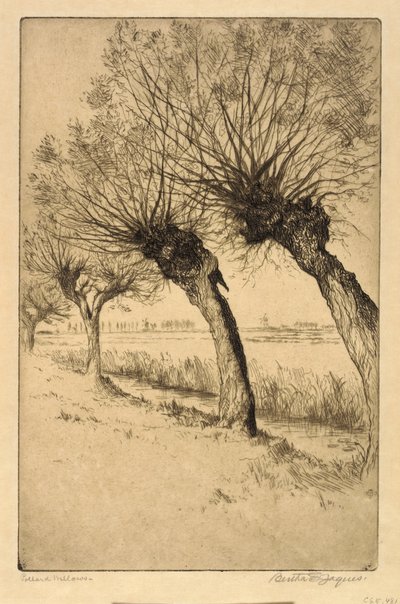 Pollard Willows, Rijsord, Pays-Bas - Bertha E. Jaques