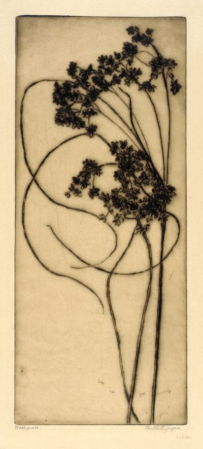 Herbe à poux - Bertha E. Jaques