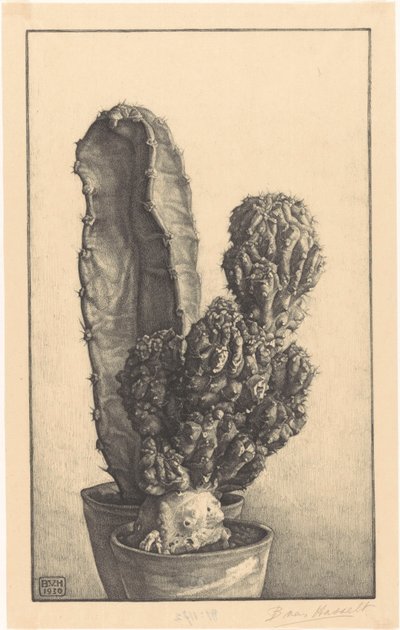 Cactus - Bertha van Hasselt (signed by artist)