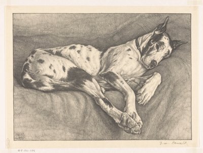 Chien endormi - Bertha van Hasselt (signed by artist)