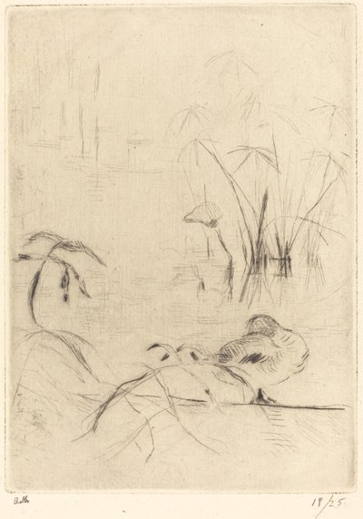 Canards au repos sur la rive, 1888-1890 - Berthe Morisot