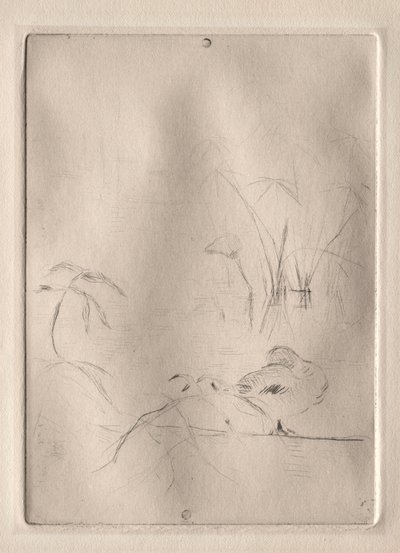 Le Canard - Berthe Morisot