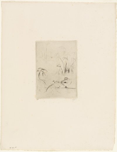 Le canard - Berthe Morisot