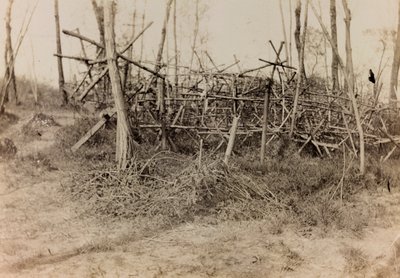 Album de la Première Guerre mondiale en Frioul-Vénétie Julienne : obstacle défensif (cavalli di Frisia), 05/1916 - Bertoni Bertoni