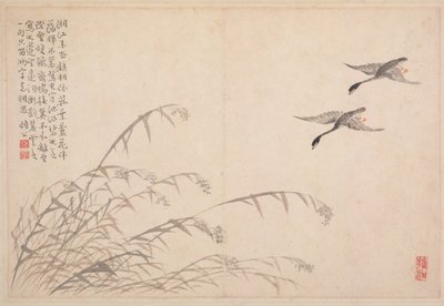 Album de calligraphie et de peintures - Bian Shoumin