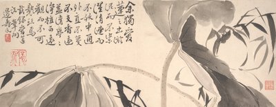 Feuilles de lotus et roseaux d
